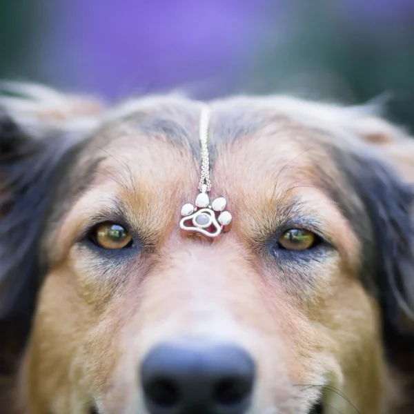 Custom Photos Paw Necklace - Image 7